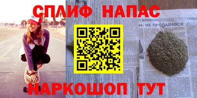 гидра Краснознаменск