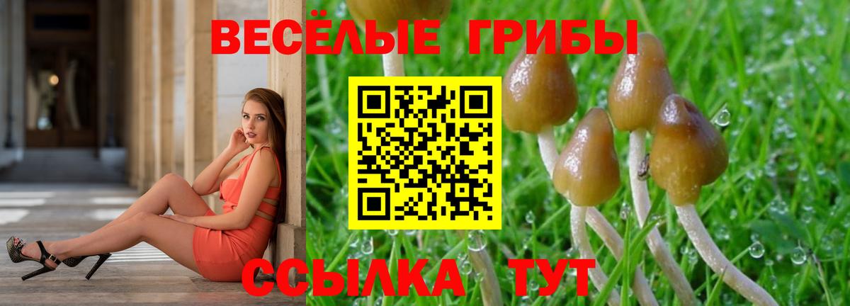 Псилоцибиновые грибы MAGIC MUSHROOMS Зеленокумск